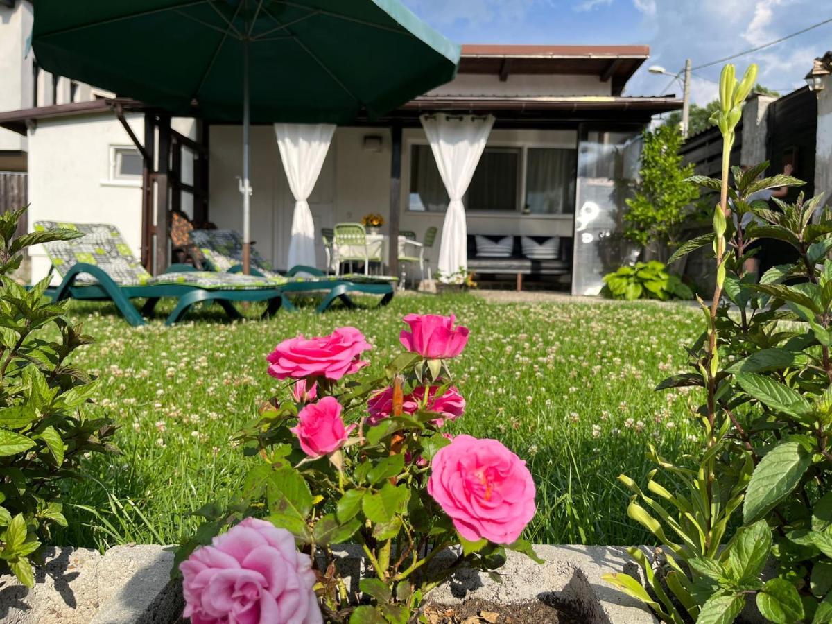 Charmante petite maison Transylvanie Săcele Exterior foto